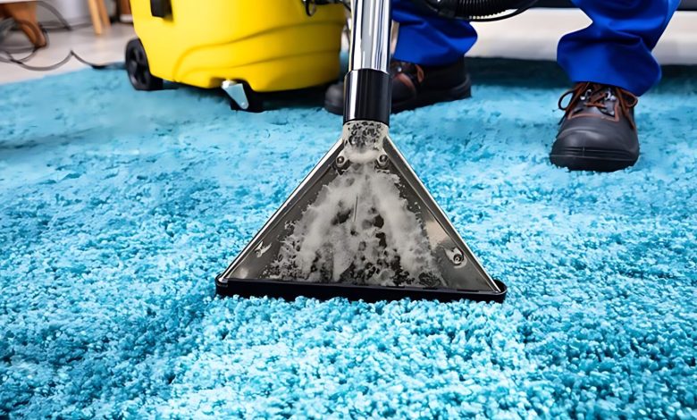 The Impact of Skipping Professional Carpet Cleaning on Pets